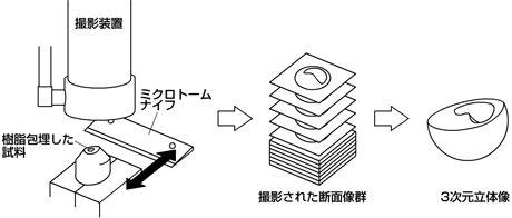 図2