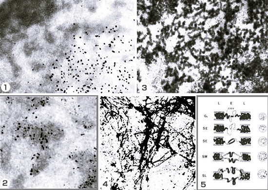 no38_interview_20_full