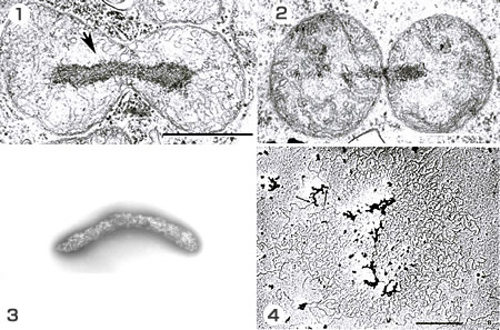 no38_interview_25_full