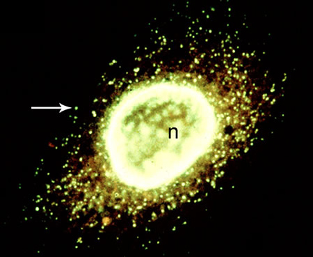 no38_interview_30_full