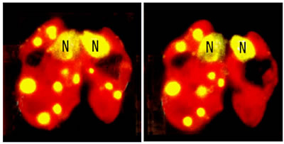 no38_interview_31_full