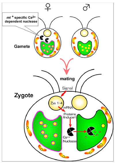 no38_interview_37_full