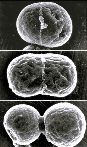 no38_interview_48_full