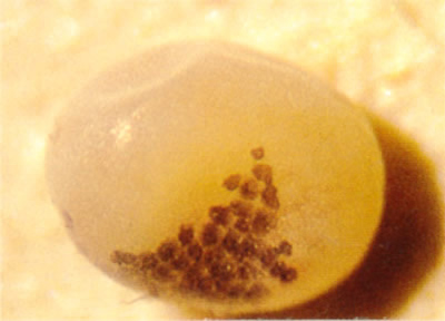 no39_interview_zu01_full