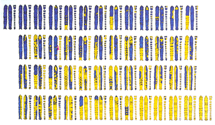 no39_interview_zu02_full