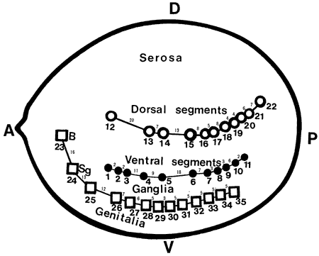 no39_interview_zu03b