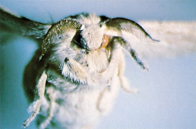 no39_interview_zu04_full