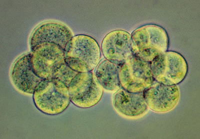 no39_interview_zu05_full