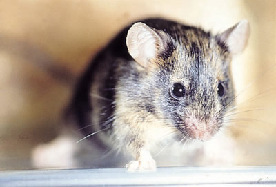 no39_interview_zu06_full