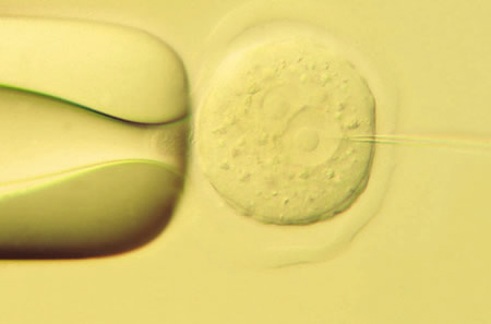 no39_interview_zu07_full