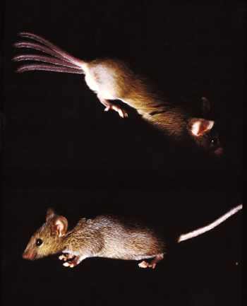 no39_interview_zu08_full