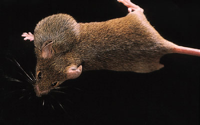 no39_interview_zu09_full