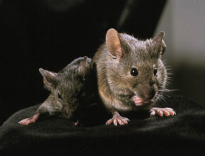 no39_interview_zu10_full