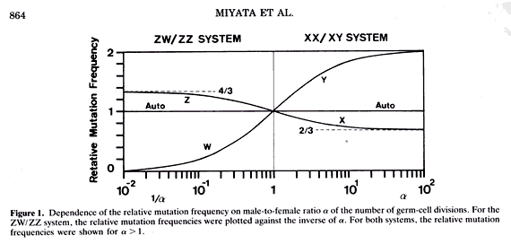 no40_interview_zu01b