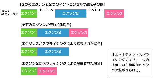 no47_interview_zukai_b