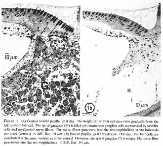 no61_interview_zu01s