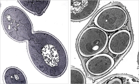 no62_interview_zu01b