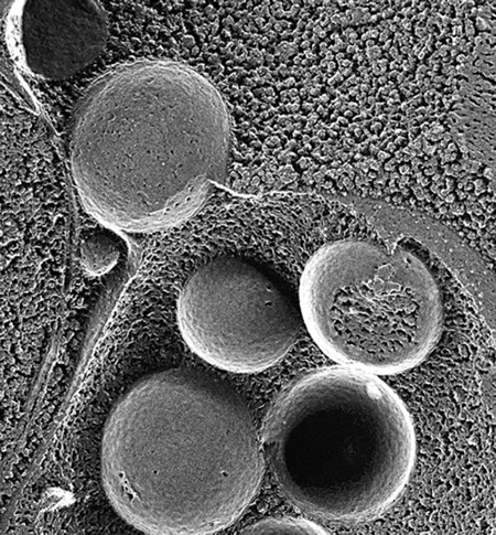 no62_interview_zu03b