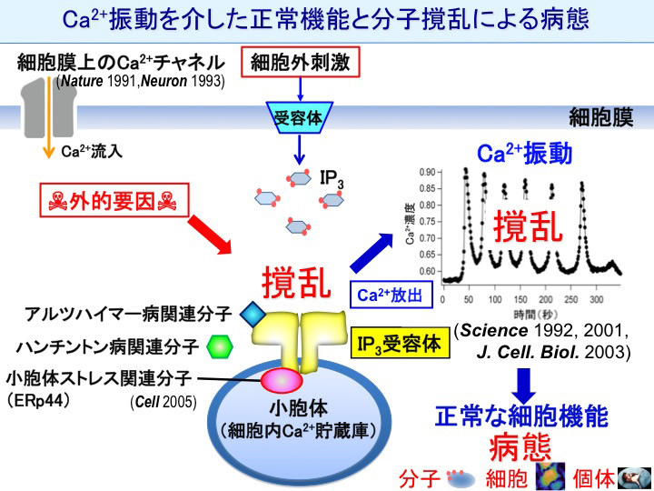 no65_interview_zu01_b