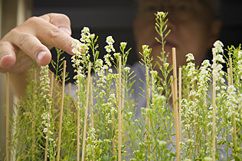 no71_interview_last2