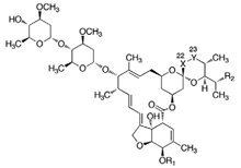 no84_interview_main_zu07_03