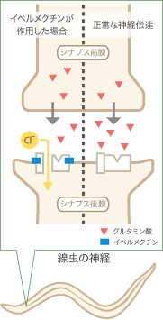 no84_interview_main_zu08