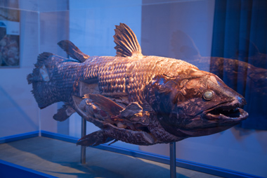 photo_0585