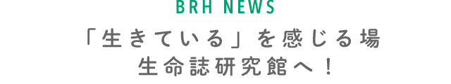 研究所の催しへ行こう 毎月第3土曜日は生命の日！