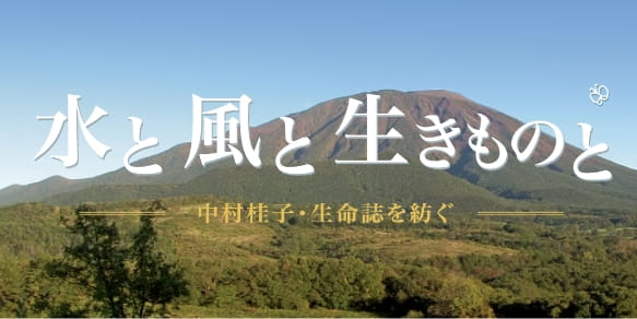 「水と風と生きものと 中村桂子・生命誌を紡ぐ」ページへのリンク