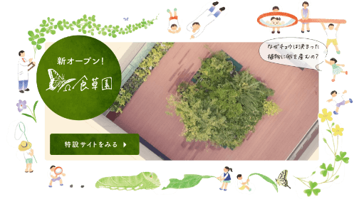 「Ω食草園」特設サイトへのリンク