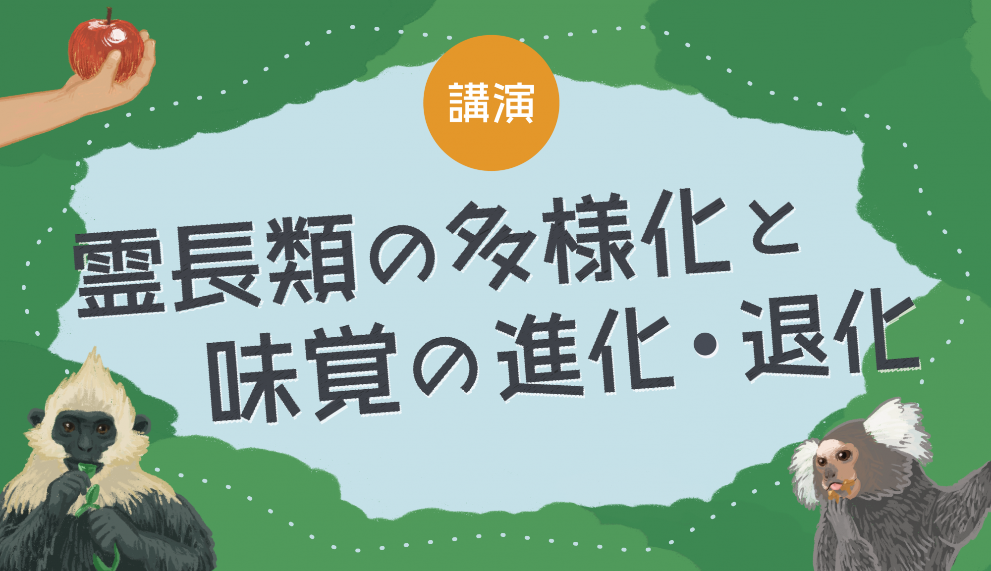 霊長類の多様化と味覚の進化・退化