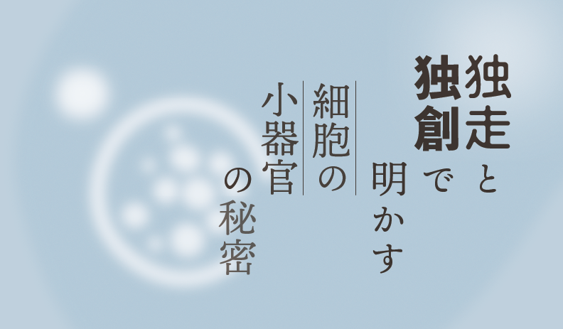 独走と独創で明かす細胞の小器官の秘密