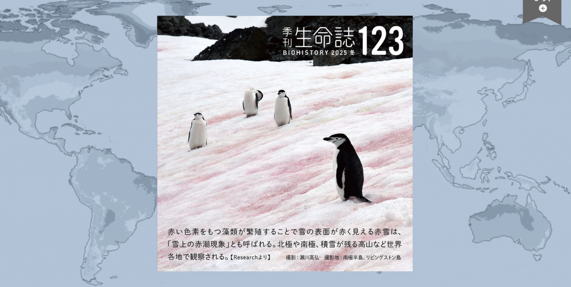 季刊「生命誌」123号 PDF版ダウンロード開始！