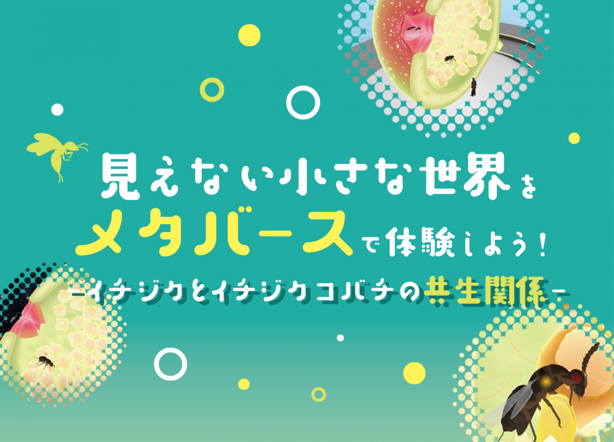 見えない小さな世界をメタバースで体験しよう！