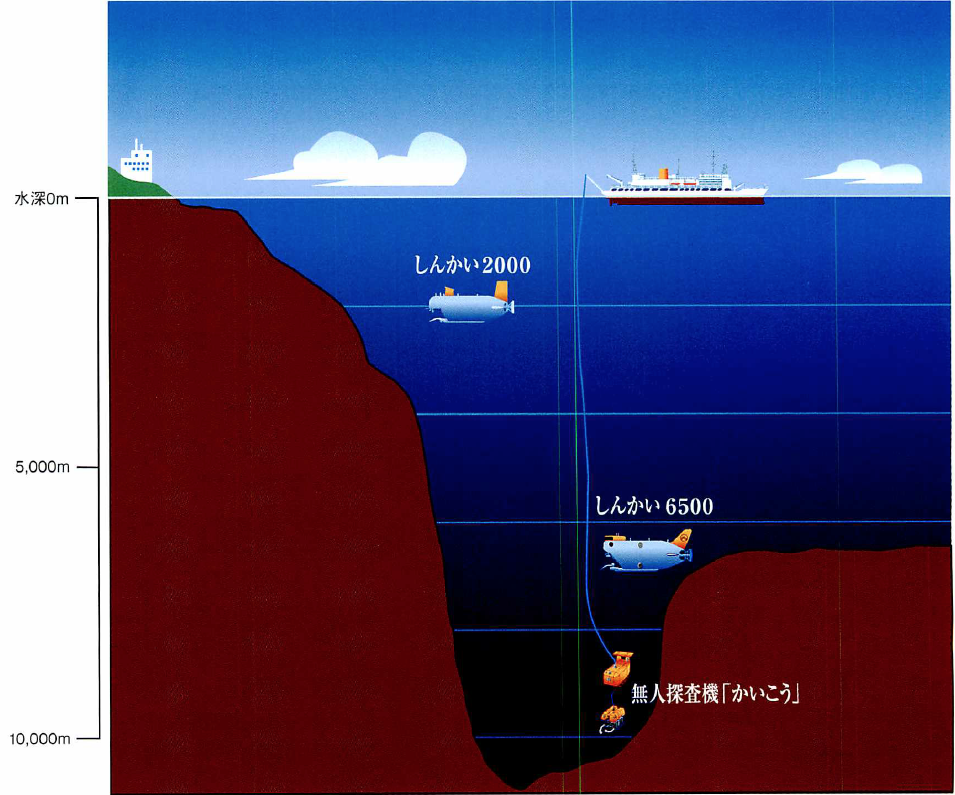 Special Story 深海 もうひとつの地球生物圏 Jt生命誌研究館