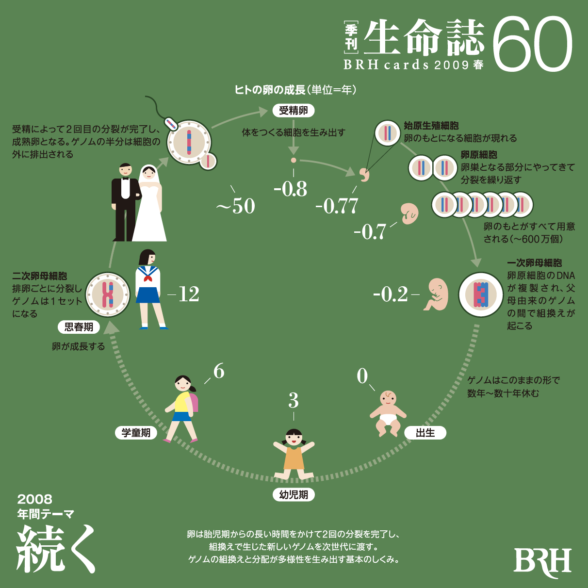 季刊「生命誌」60号 | JT生命誌研究館