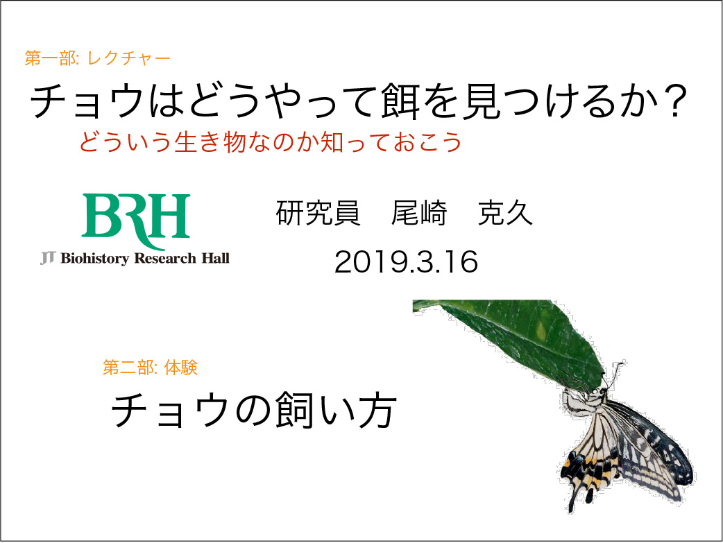 チョウが食草を見分けるしくみを探る 昆虫食性進化研究室 Jt生命誌研究館