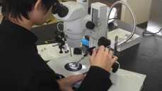 名古屋南高校生物•化学部との共同研究の成果が論文になりました！
